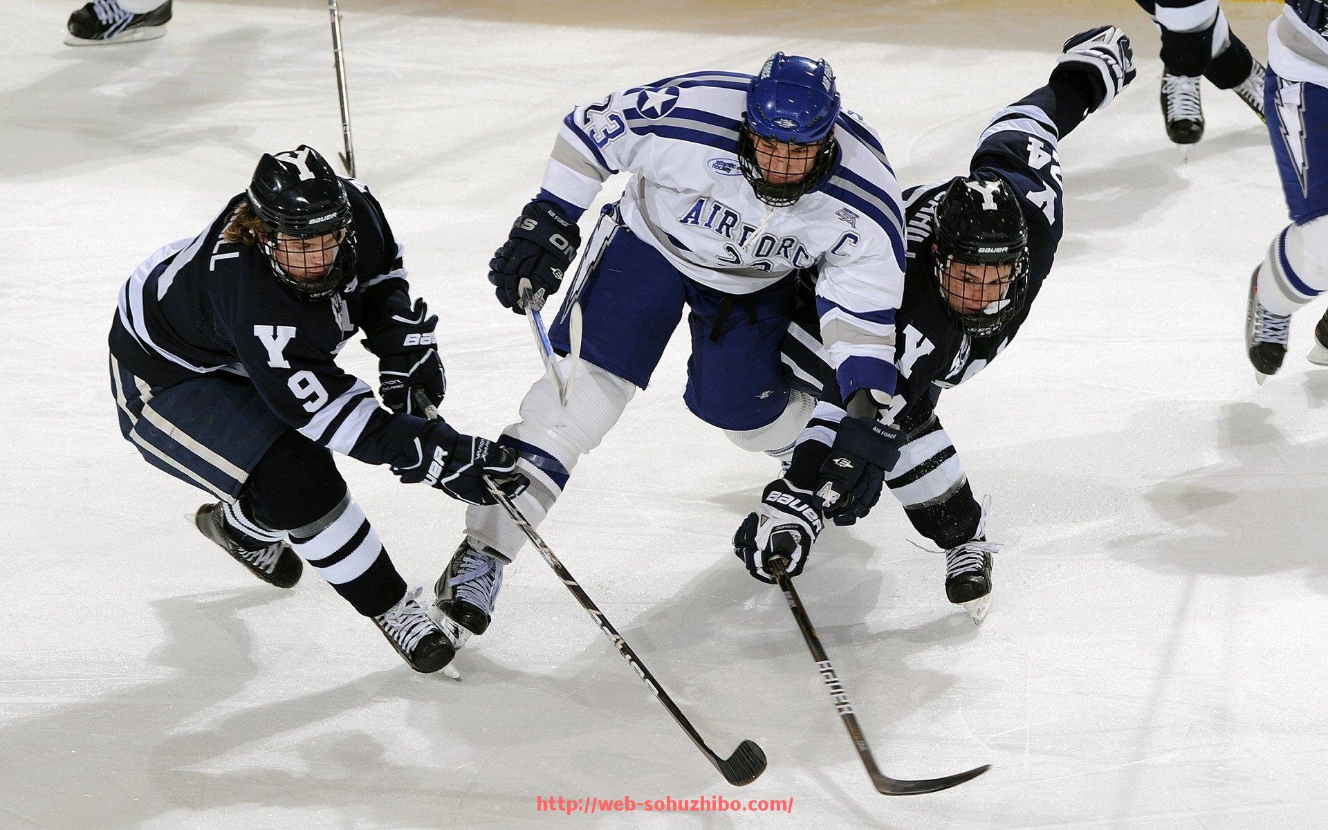 搜狐体育直播-动态图解健身器材的标准使用动作流程